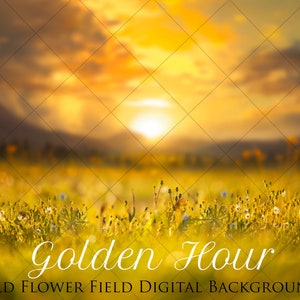May include: A digital background image featuring a field of yellow wildflowers with a blurred sunset in the background. The text "Golden Hour Wild Flower Field Digital Background" is at the bottom of the image.