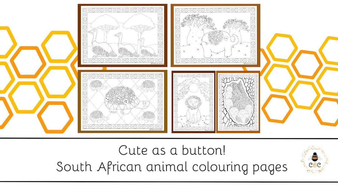 South African Animal Colouring Pages Etsy