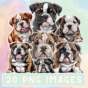 English Bulldog 20 digital PNG clip art sticker style images for Personal and Commercial use - INSTANT DOWNLOAD