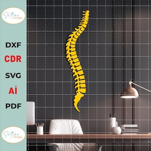 Spine Wall Decor SVG, Geometric Skeleton SVG dxf,ai, Back Bone digital download, Human Spine svg
