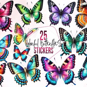 Colorful Butterfly Clipart, Butterfly Sublimation PNG, Butterflies Collection for Crafts, Instant Digital Download, Commercial Use