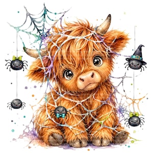 May include: A fluffy ginger Highland calf illustration featuring large dark eyes, surrounded by a colorful spider web. Four small black spiders are hanging from the web, with two wearing small bows and one wearing a pointed witch hat.