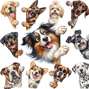 以下が含まれることがあります： 10種類の犬のイラストコレクション。それぞれ異なる犬種が垂直な端から顔を覗かせています。ゴールデンレトリバー、ジャーマンシェパード、シーズー、ポインター、ロットワイラー、オーストラリアンシェパード、シュナウザー、ブルドッグ、コーギー、ボクサー、ダルメシアンが描かれており、どの犬も幸せそうな表情をしています。