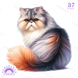 37 種類の多様な猫の水彩画クリップアート、かわいい猫の PNG、美しい猫のアート、昇華、スクラップブッキング、DIY クラフト用、即時ダウンロード