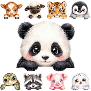 Könnte beinhalten: Eine Sammlung von neun digitalen Illustrationen mit einem braunen Kalb, einem weißen Lamm, einem Tigerbaby, einem Pinguin, einem großen zentralen Panda, einer grünen Schildkröte, einem Waschbären, einem rosa Ferkel und einer Schnee-Eule.