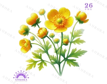 May include: A bouquet of yellow flowers with green leaves. The flowers have a delicate, almost translucent appearance.