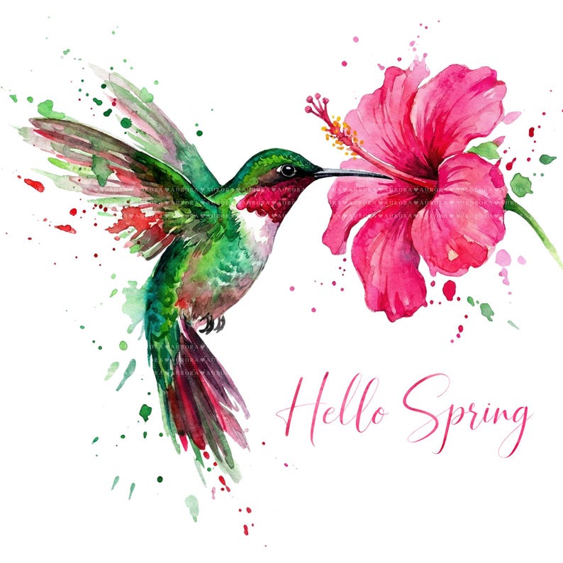 Hello Spring Hummingbird 26 Hello Spring PNG Bundle, Watercolor Floral Sublimation Designs for ...