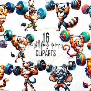 16 gewichtheffen dieren clipart, sterke dierenkarakters, zwaar tillen workout dier png, powerlifting voor trainingsuitrusting en accessoires.