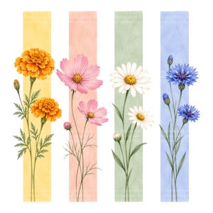May include: Four vertical rectangular panels featuring botanical illustrations. The first shows orange marigolds on a yellow background, the second pink cosmos on a peach background, the third white daisies on a sage green background, and the fourth blue cornflowers on a light blue background.