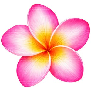 Op de afbeelding: Een digitaal weergegeven plumeria bloem met vijf bloemblaadjes. De bloemblaadjes gaan over van helder roze aan de randen naar zacht geel in het midden, waardoor een gradiënteffect ontstaat. Het hart van de bloem is diepgeel.