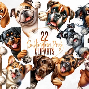 22 Spähender Hund Clipart, süße Hunde um die Ecke, Sublimation PNG, Aquarell Hund, kommerzielle Nutzung, digitaler Download