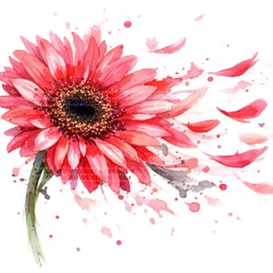 Może przedstawiać: Akwarela przedstawiająca gerberę w odcieniach czerwieni i różu. Środek kwiatu jest ciemnobrązowy z żółtymi akcentami. Płatki wydają się opadać, z rozpryskami akwareli i zieloną łodygą.