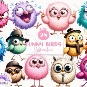 28 imágenes PNG de sublimación de pájaros divertidos, paquete de imágenes prediseñadas de pájaros divertidos y lindos en acuarela, sublimación de dibujos animados divertidos, uso comercial, descarga digital