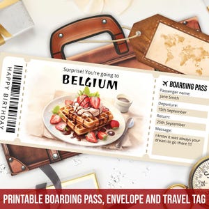 Modello modificabile di carta d'imbarco per il Belgio, viaggio a sorpresa in Belgio, biglietto aereo falso stampabile, biglietto aereo regalo download immediato