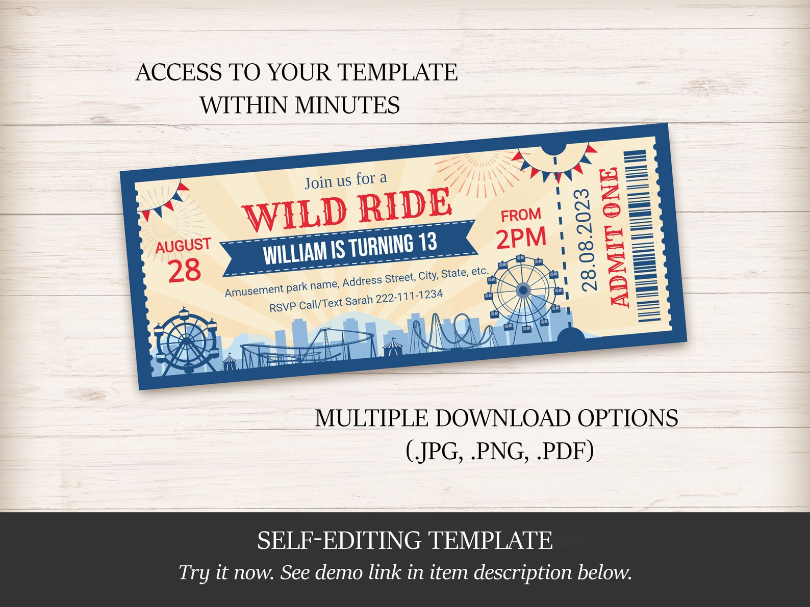 Amusement Park Ticket Invite Template Editable Carnival Theme Etsy