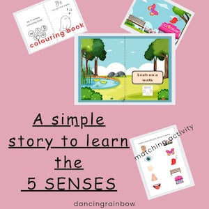 My 5 Senses