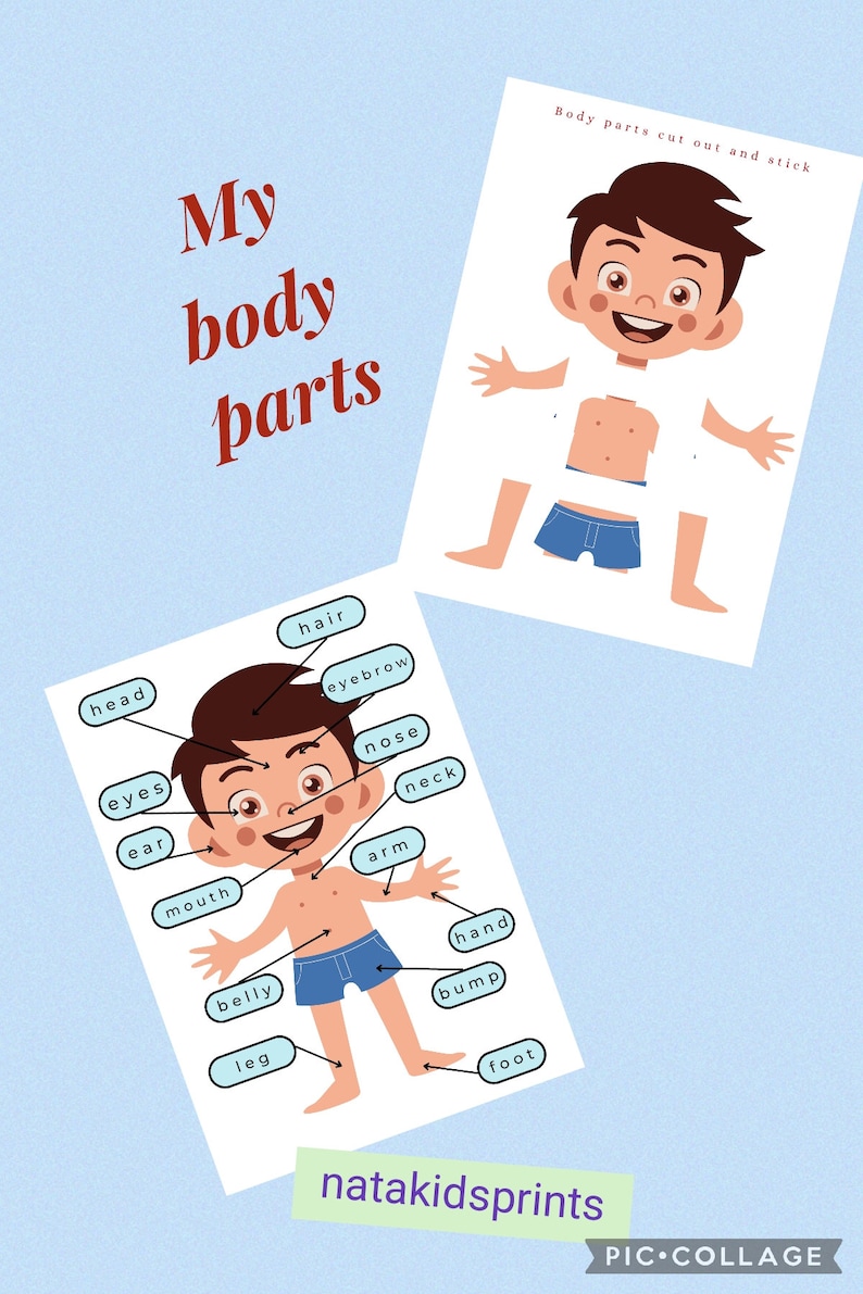My Body Parts Preschool Activities - Etsy