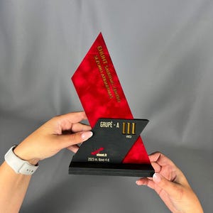 Business Awards Trophy - Luxury Wooden Award for Companies Corporate Trophy Award Company Awards Ceremony Wooden Trophy Sports Trophies