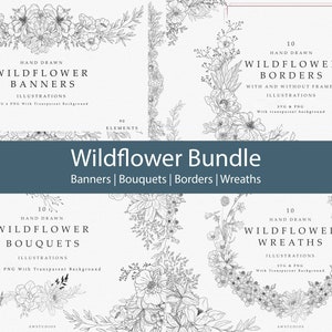 Fleurs sauvages, Images clipart floral, Illustrations florales, Bannières de fleurs sauvages, Couronnes botaniques, Designs de bouquets de fleurs