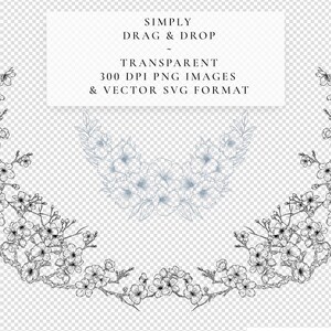 Transparent line art floral Designs in blue and black on a clear background, suitable for clipart use at 300 dpi.