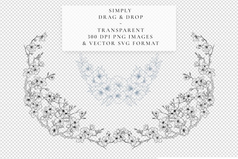 Transparent line art floral Designs in blue and black on a clear background, suitable for clipart use at 300 dpi.