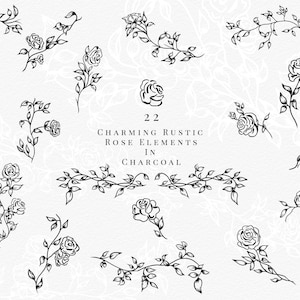 An elegant frame embellished with blooming roses, Showing the beautiful detailed artwork of the rustic rose — preview image 5.