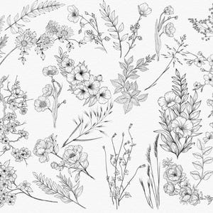 A collection of black line art floral designs featuring various flowers and plants.