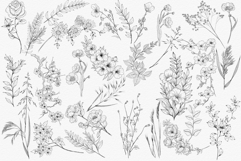 A collection of black line art floral designs featuring various flowers and plants.