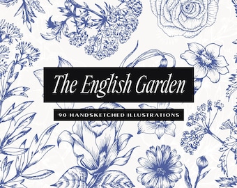 Könnte beinhalten: Eine Sammlung von 90 handgezeichneten Illustrationen von blauen Blumen und Pflanzen auf weißem Hintergrund. Der Text "The English Garden" und "90 Hand-Sketched Illustrations" ist in Schwarz dargestellt.