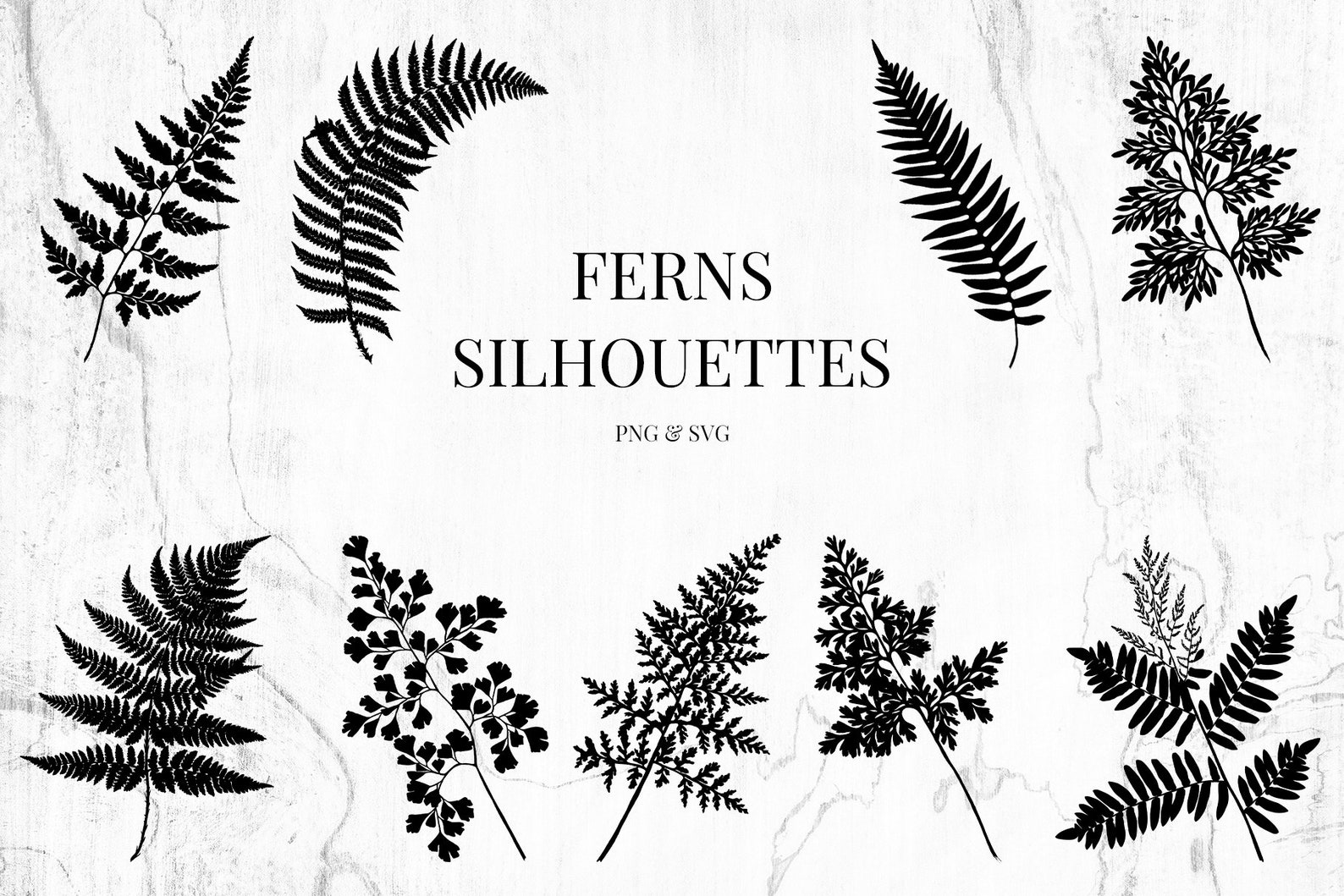 Fern & Grass Silhouette Clipart Bundle, 10 Hand-drawn Illustrations SVG ...