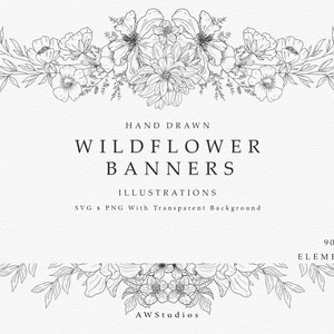 Intercalaires de texte floraux et bannières, illustrations clipart PNG et SVG de fleurs sauvages, graphiques botaniques