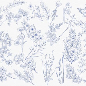 A collection of blue line art floral designs featuring various flowers and plants.