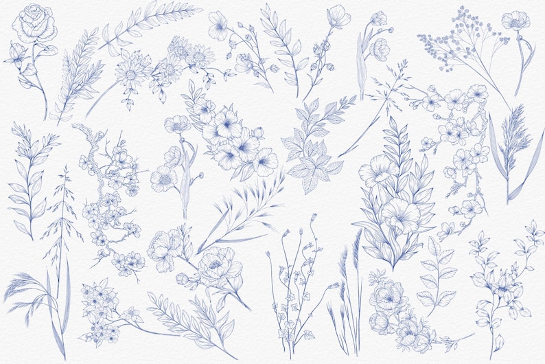 A collection of blue line art floral designs featuring various flowers and plants.