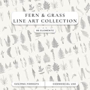Może przedstawiać: Cyfrowa kolekcja 85 elementów grafiki liniowej przedstawiającej paprocie i trawy w kolorze szarym na kremowym tle. Tekst głosi FERN & GRASS LINE ART COLLECTION, 85 ELEMENTS, SVG/PNG FORMATS oraz COMMERCIAL USE. Projekt zawiera różne szkice botaniczne.