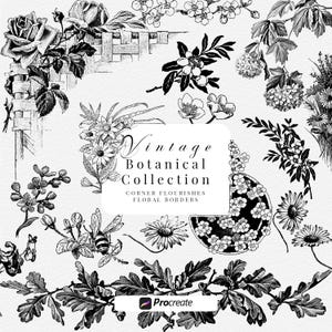 Botanische collectie voortplanten, vintage clipartbundel, postzegels voortplanten, randpatronen, esthetische bloemen, penselen voortplanten