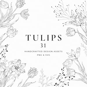 Bundel bloemenlijnkunst, botanische tulpen, bloemenillustraties, lentebloemen, handgetekende vectortulpen, tulpenontwerp