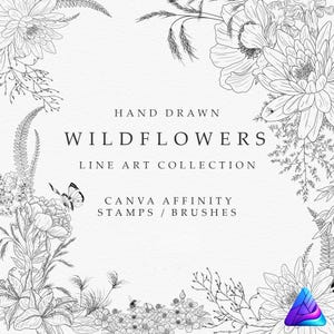 Wildflower Affinity Brushes, Botanical Line Art Stamp Set for Designer and Photo