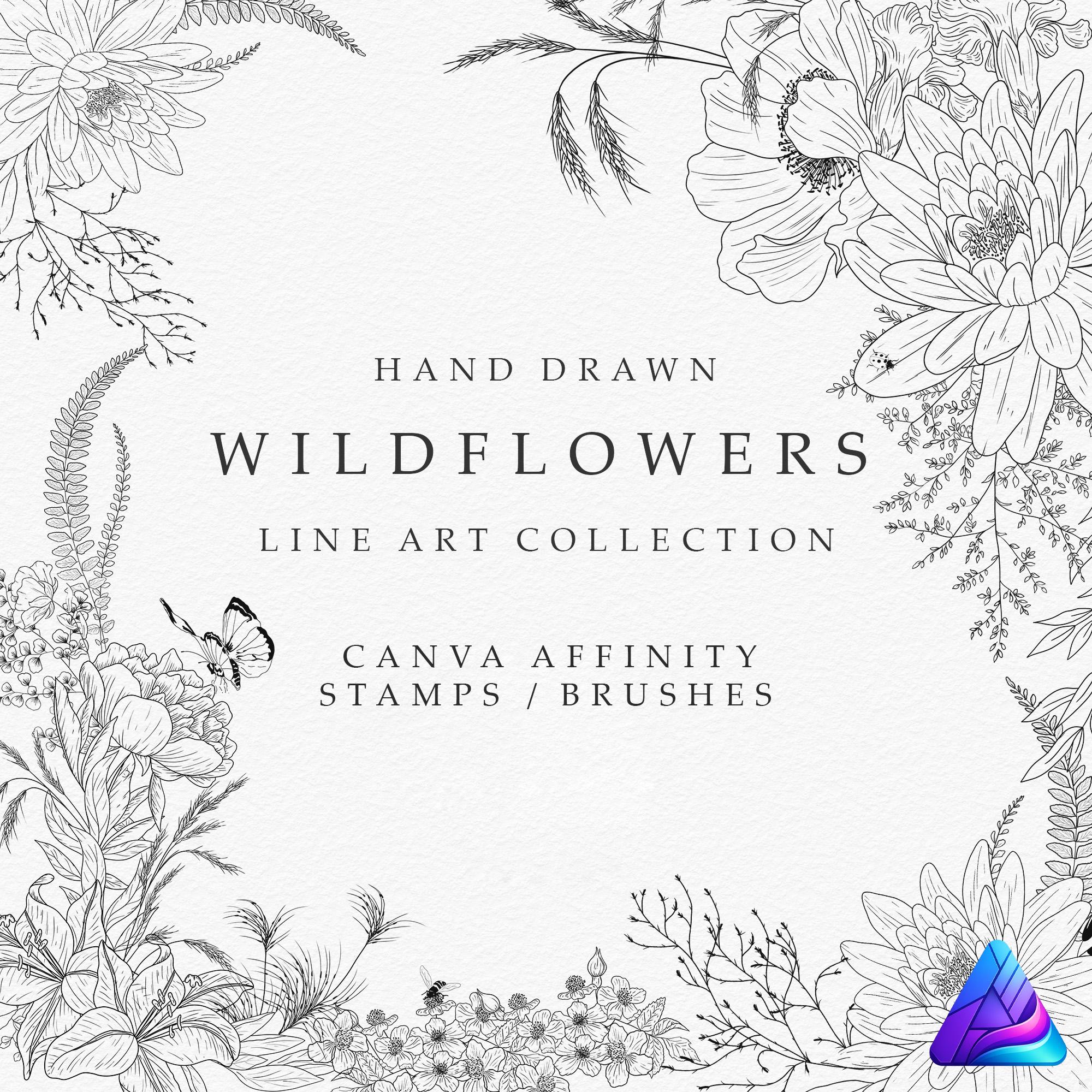 Wildflower Affinity Brushes, Botanical Line Art Stamp Set for Designer ...