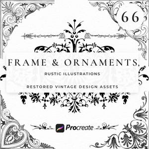 Procreate Rahmen und Ornamente Briefmarken, Floral Clipart Bundle, Rosenhochzeit lädt ein, Rose Border Muster