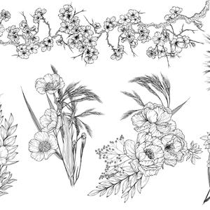 A collection of Black line art floral arrangement designs featuring various flowers and plants.