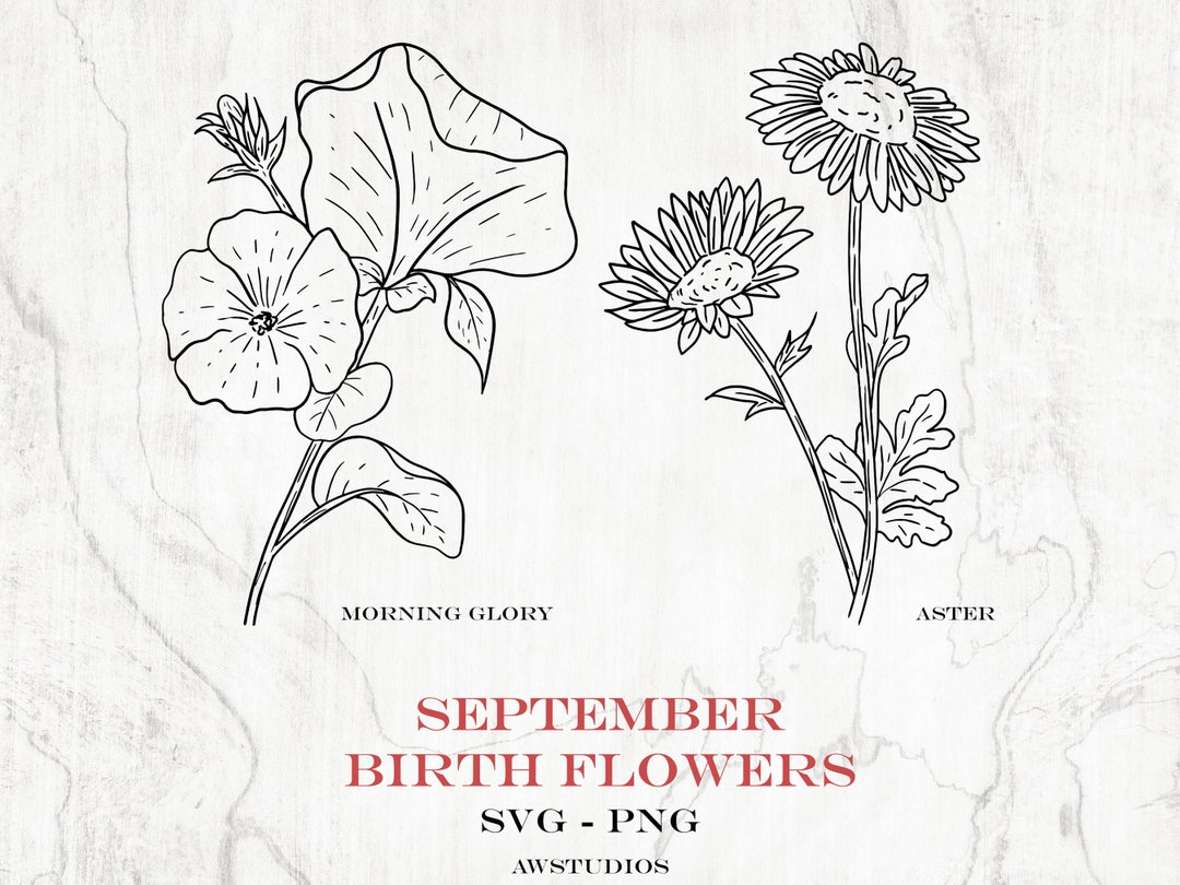 birth-month-flower-svg-and-png-bundle-september-birth-month-etsy