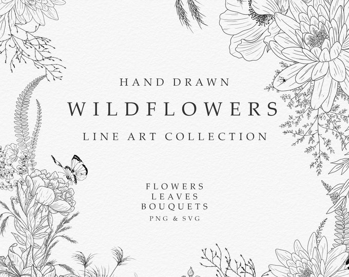 Wildflowers Line Art, Botanical Hand Drawn Line Art, Floral Line Art ...
