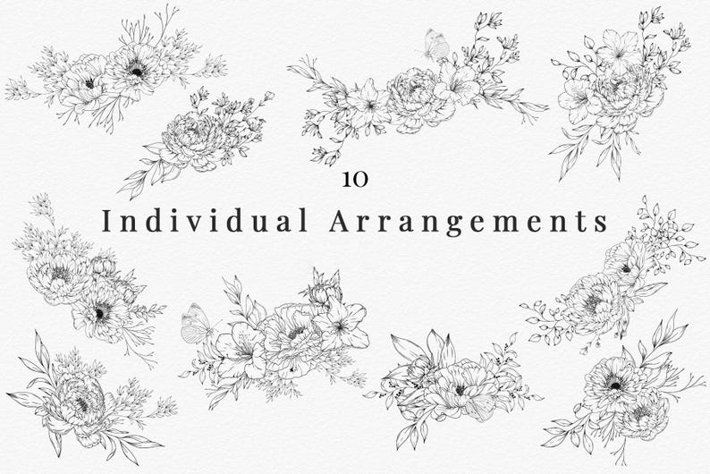 Procreate Botanical Line Art Stamps, Hand Drawn Floral Invitation ...
