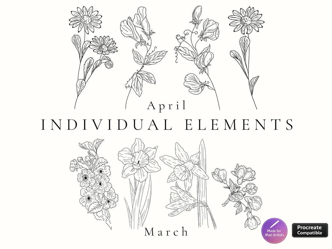 Birth Month Flower Stamps: Procreate Floral Brush Set (digital Download ...