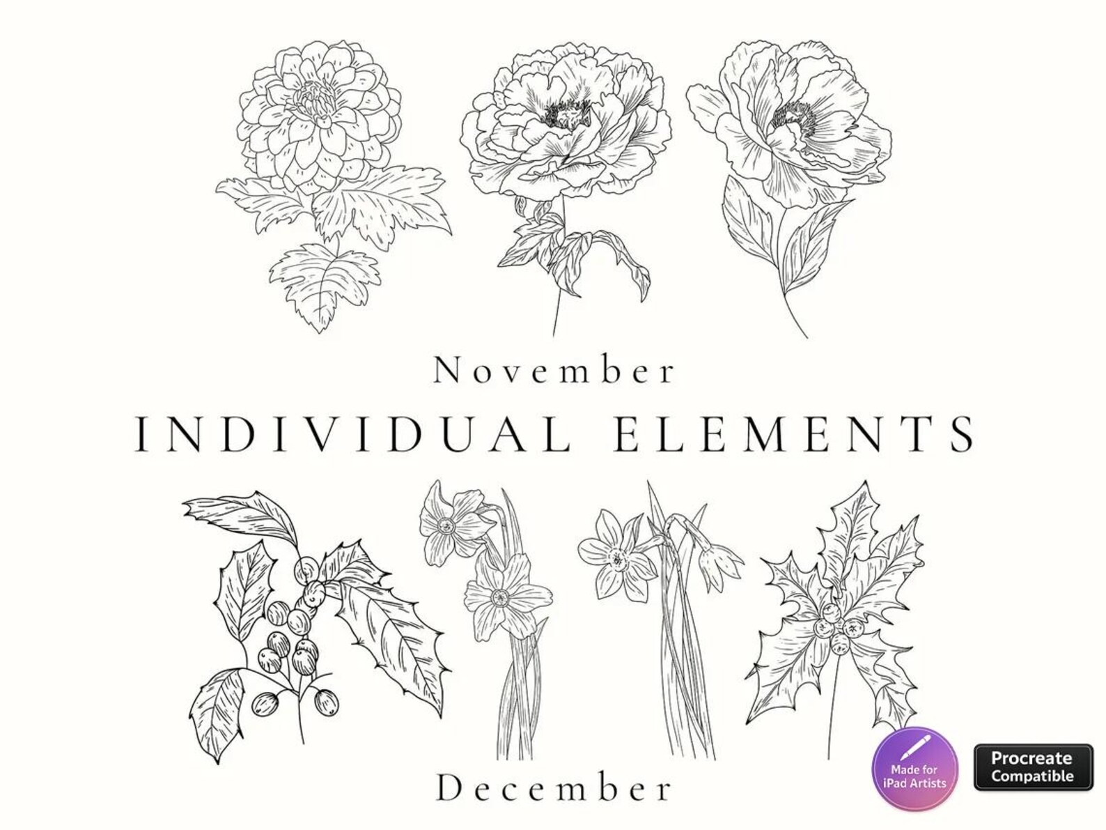Birth Month Flower Stamps: Procreate Floral Brush Set (digital Download ...