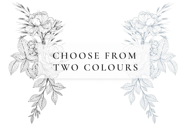 Line art florals showcasing two color options for selection.