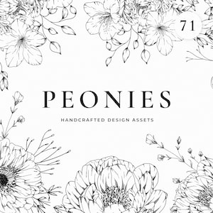 牡丹の線画イラスト、花の線画、花のイラスト、ベクター クリップアート、夏の花、植物の線画