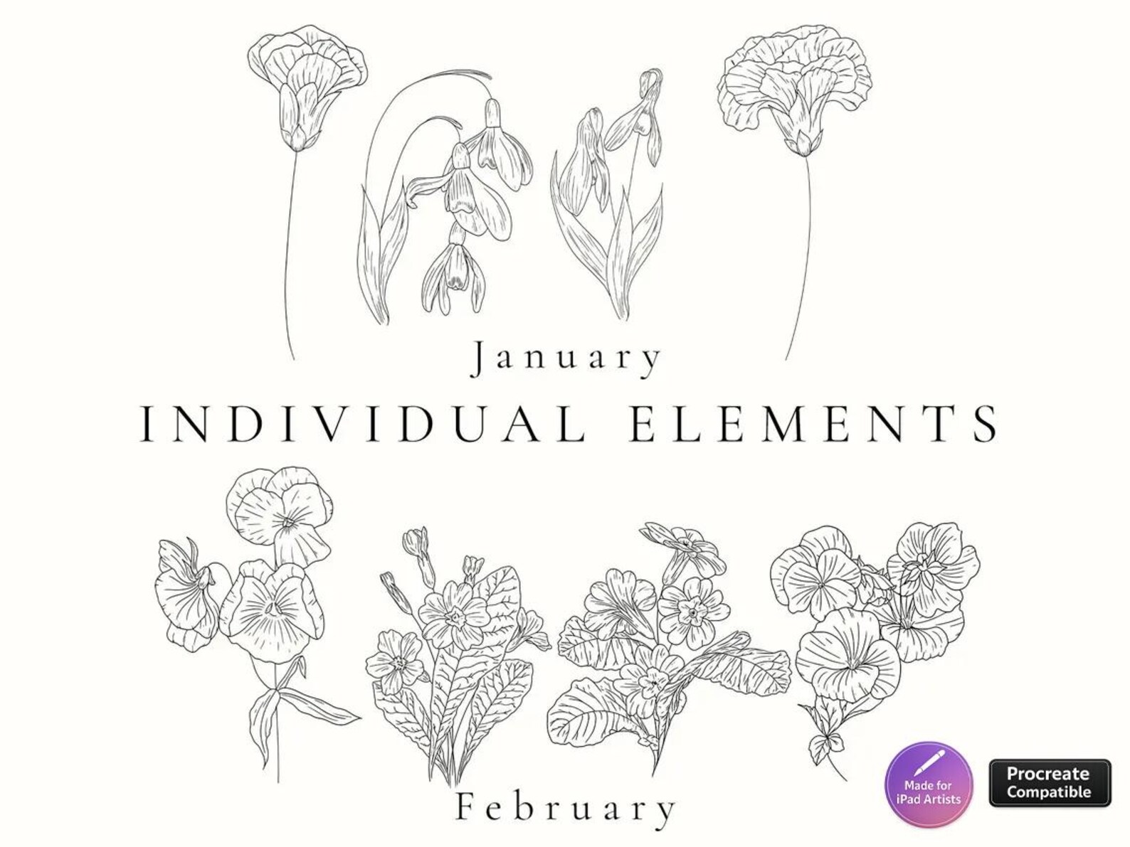 Birth Month Flower Stamps: Procreate Floral Brush Set (digital Download ...