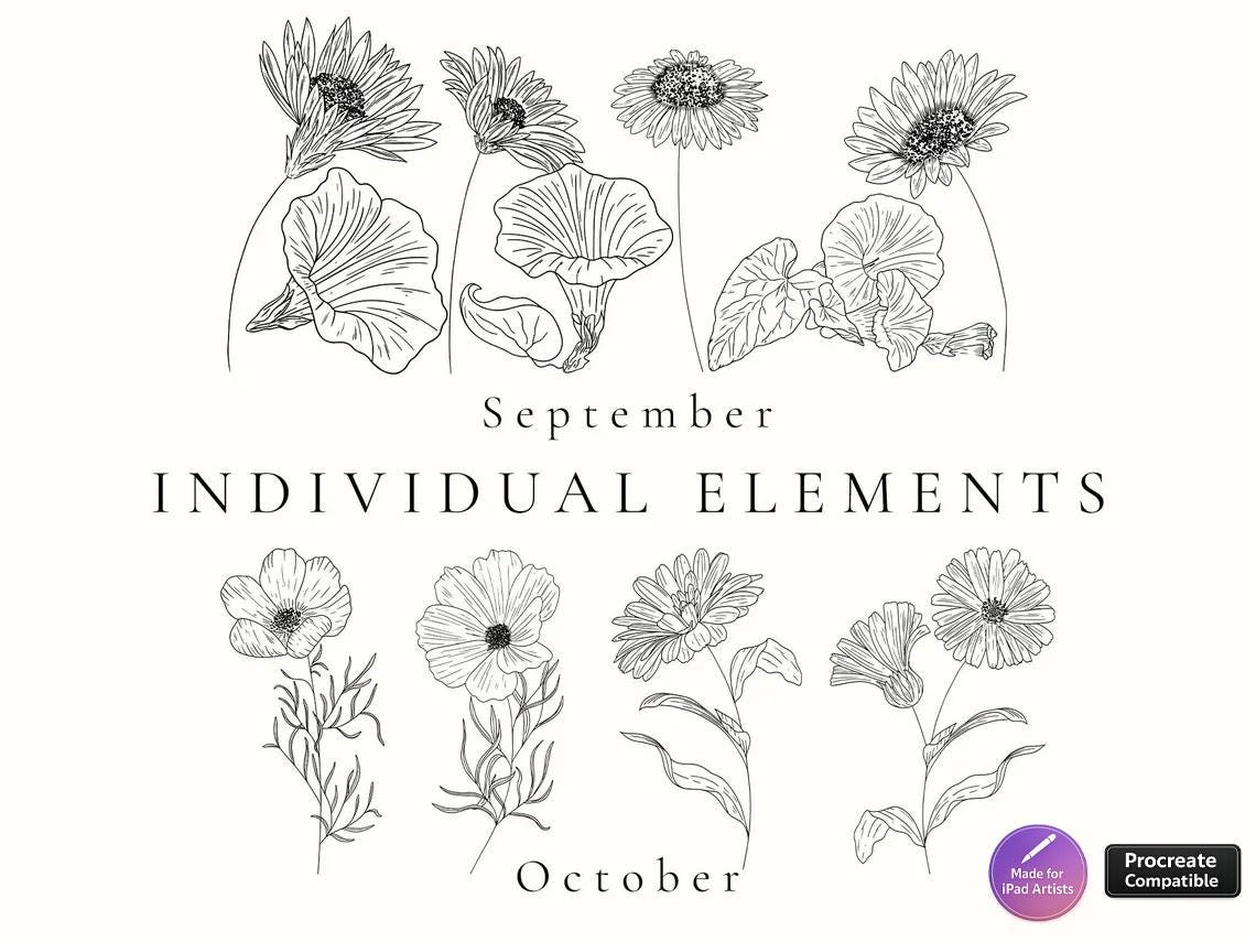 Birth Month Flower Stamps: Procreate Floral Brush Set (digital Download ...
