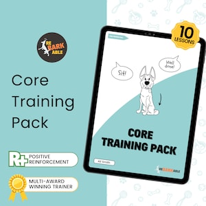 Guide all'addestramento del cane: competenze fondamentali illustrate per i cani (download digitale)